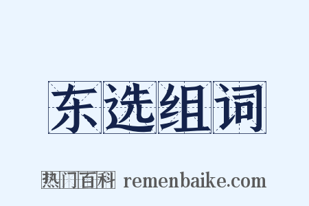 东选组词是什么意思的图片